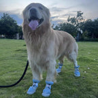 Breathable Mesh Dog Shoes | Non-Slip Summer Pet Boots