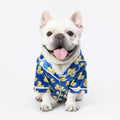Cat and dog clothes