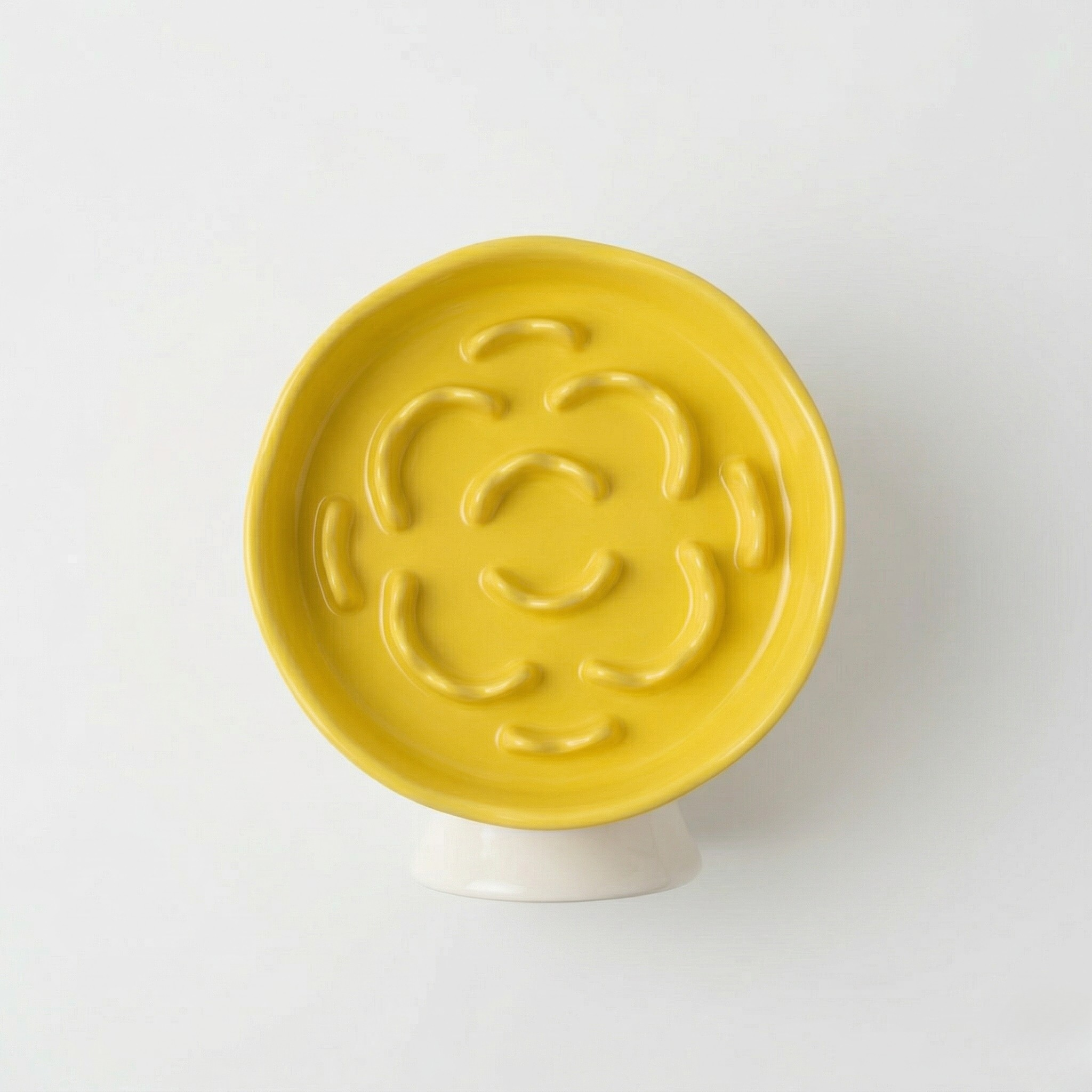 Ceramic Elevated Slow Feeder Bowl