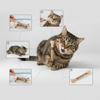 Chew Stick Cat Toy