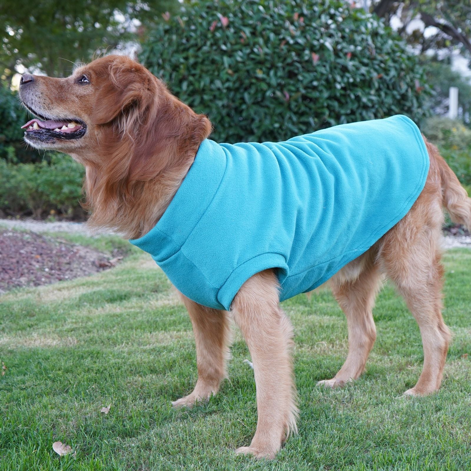 Pet Labrador Golden Retriever Dog Clothes Large Breed Winter Warm Pet Clothes European and American Cross-border Wholesale