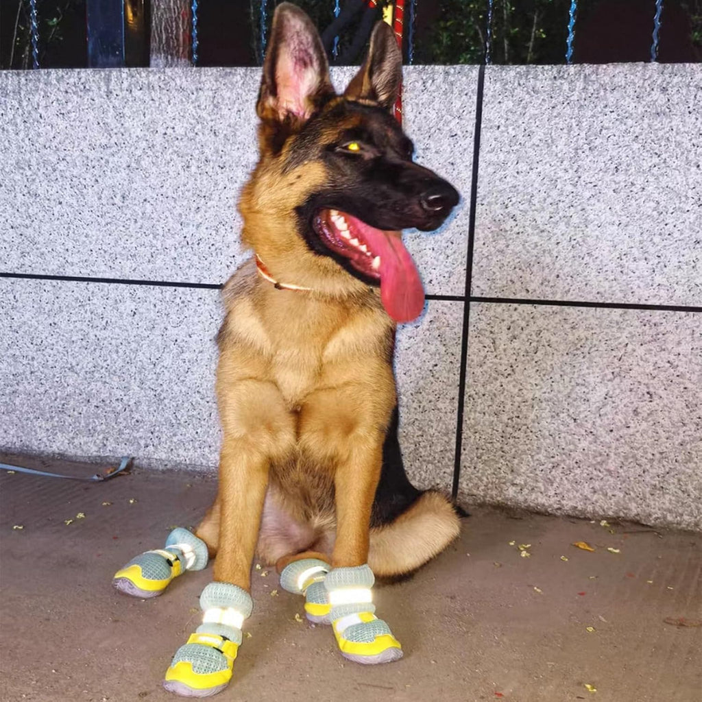 Breathable Mesh Dog Shoes | Non-Slip Summer Pet Boots