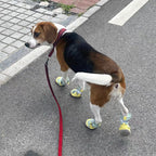 Breathable Mesh Dog Shoes | Non-Slip Summer Pet Boots