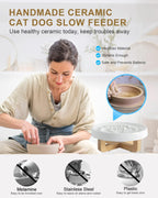 Ceramic Pet Feeder, Slow Feed Cat Bowls For Healthy Eating For Cats And Small Dogs