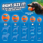 ChuckIt Dog Ultra Ball Small 2 Pack