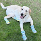 Breathable Mesh Dog Shoes | Non-Slip Summer Pet Boots