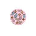 Dog Puzzle Toys Slow Feeder Interactive Increase Puppy IQ Food Dispenser Slowly Eating NonSlip Bowl Pet Cat Dogs Training Game