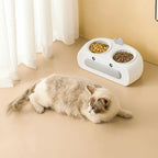 Duck Design Pet Double Bowl Plastic Kitten Dog Food Drinking Tray Feeder Cat Feeding Pet Supplies Accessories