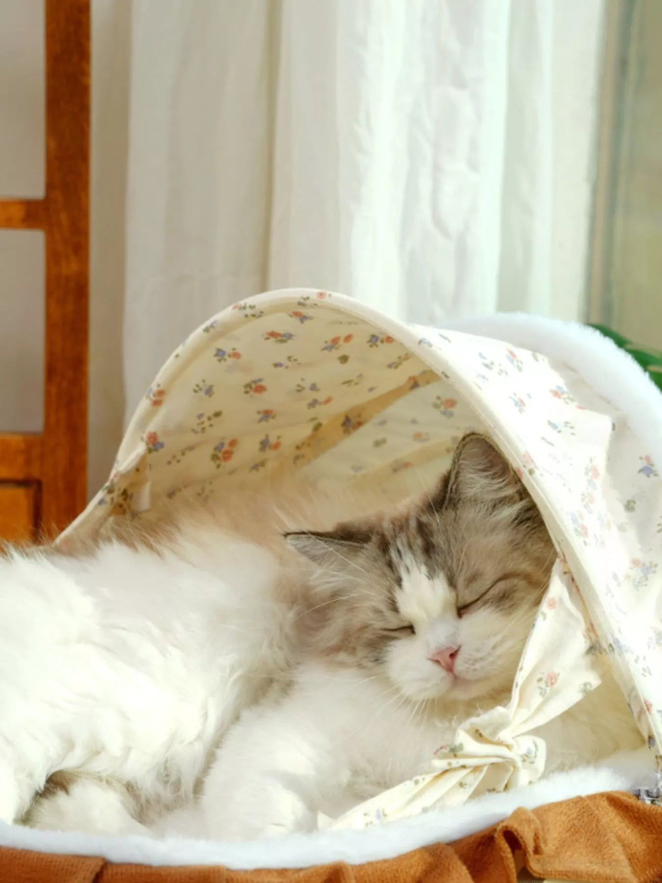 Rocking Pet Bed with Canopy