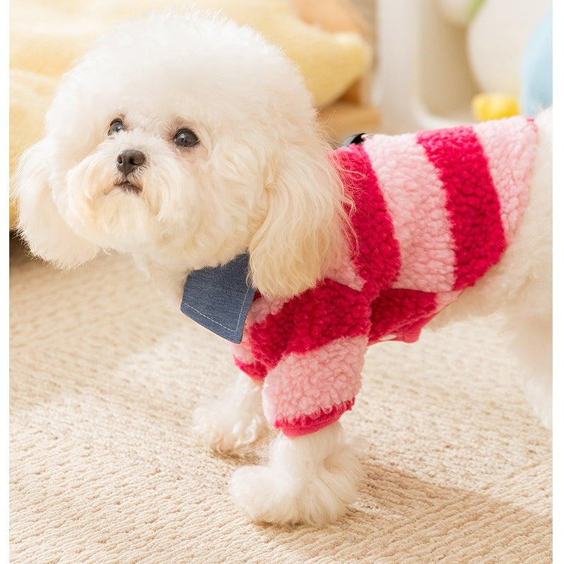 Leash Hole And Collar Winter Thick Warm Cozy Sweater For Small Medium Breeds, For Teddy Dachshunds Yorkies Cats