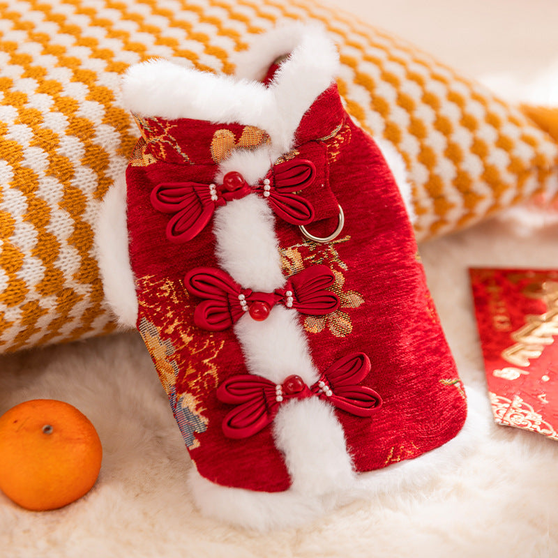 In Autumn And Winter, Cats Keep Warm. Chinese Style Of Wealth And Prosperity Bloom. New Year, Button-down Vests, Tang Suits, Little Dogs, Cotton-padded Clothes, And Pet Clothing