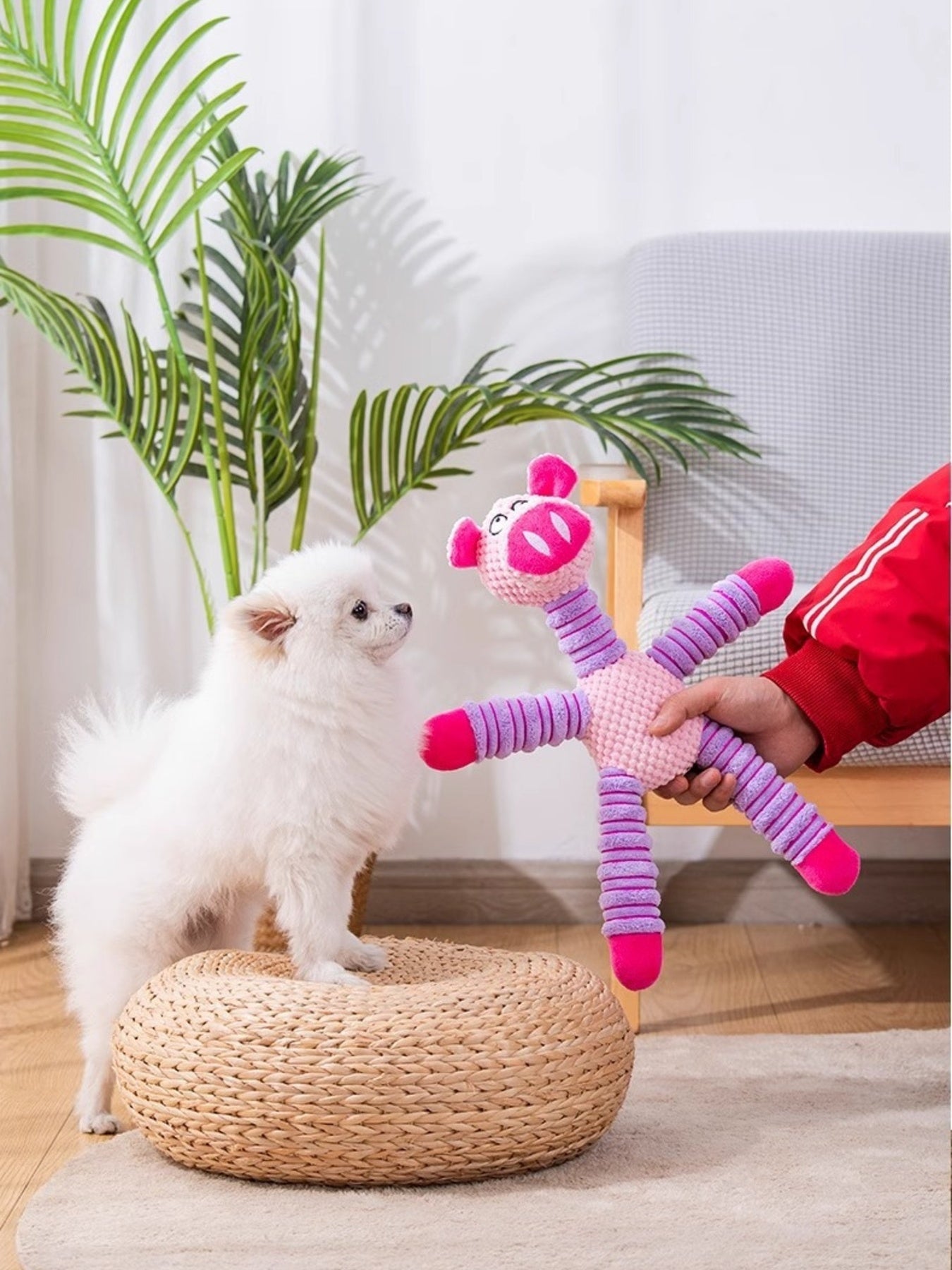 Soft Plush Animal Pet Toys