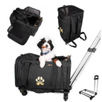 Air Pup Airline Pet Travel Carrier
