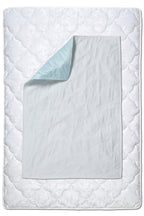 Economy Absorbent Bed Pad 24"x36" (SKU: BPS100)