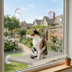 Cat Window Hammock Bed