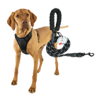 Lovtastic Creations™ No-Pull Dog Harness - with Strong & Durable Dog Leash & Free Poopbag Holder 3pcs Set | Reflective No-Choke Pet Harness