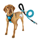 Lovtastic Creations™ No-Pull Dog Harness - with Strong & Durable Dog Leash & Free Poopbag Holder 3pcs Set | Reflective No-Choke Pet Harness