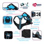 Lovtastic Creations™ No-Pull Dog Harness - with Strong & Durable Dog Leash & Free Poopbag Holder 3pcs Set | Reflective No-Choke Pet Harness