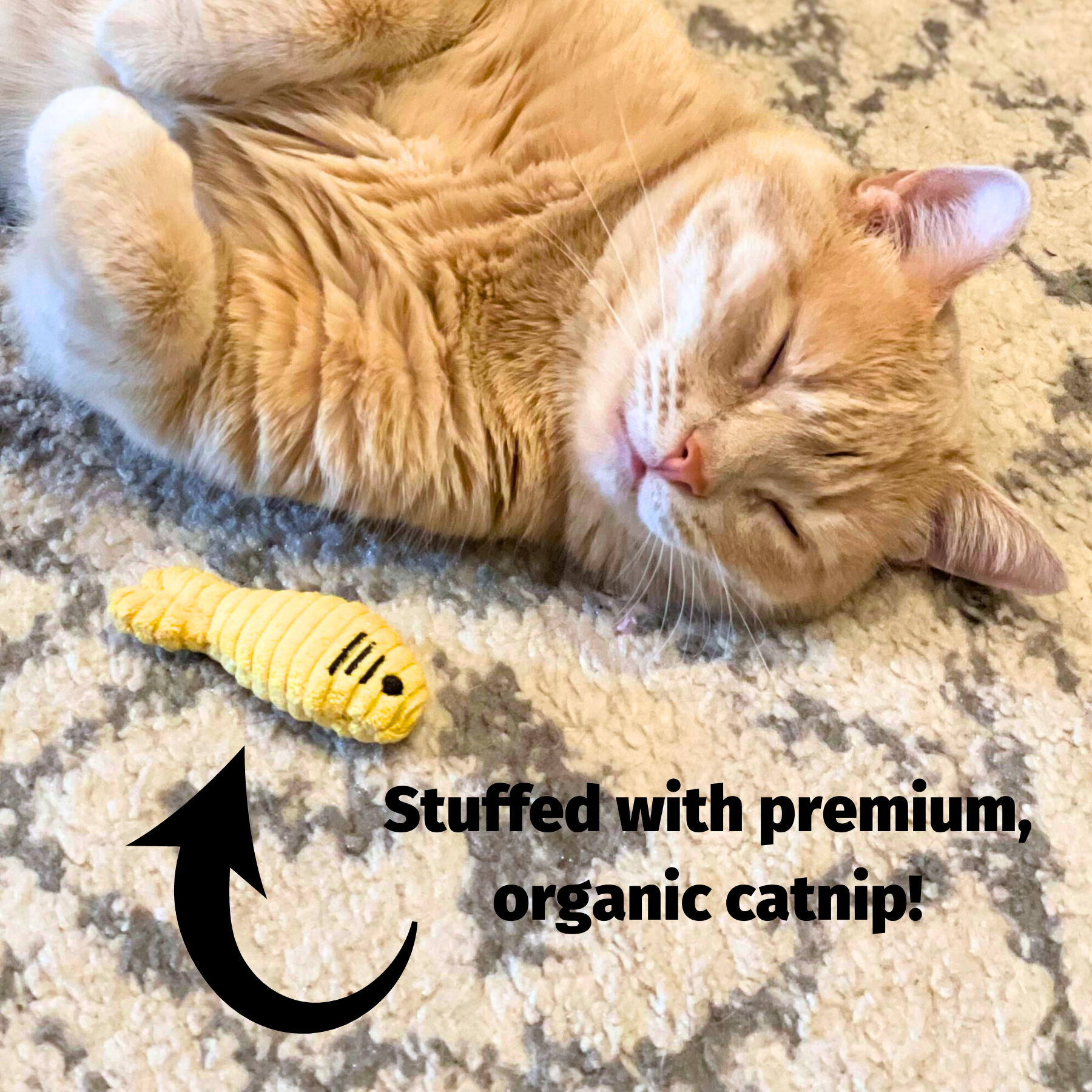 HuggleKats® Wee Fellar Squirrelie Cat Toy