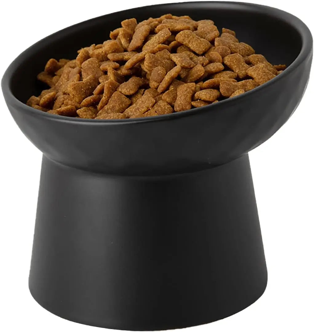 Ceramic Raised Tilted Cat Bowls Set of 2, Elevated Porcelain Feeder