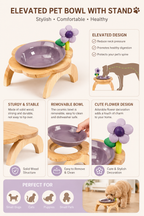 Elevated Ceramic Dog Bowl with Stand Wooden Raised Pet Feeder Anti-Spill Cat Dog Bowl for Small Dogs Neck Protection Feeding Stand