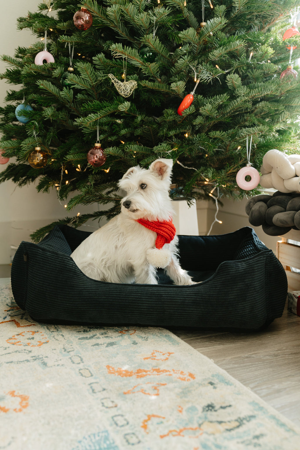Chester & Lee | Fancy Corduroy Sleeper Dog Bed Graphite