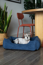 Chester & Lee | Fancy Corduroy Sleeper Dog Bed