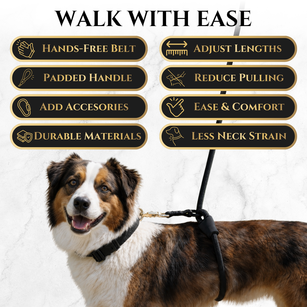 Calm Command © Hands Free, No-Pull Leash