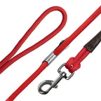 GPCA Dog Leash LITE Bundle