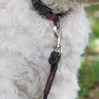 GPCA Dog Leash LITE Bundle