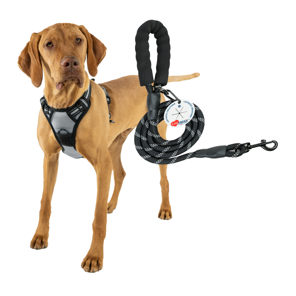 Lovtastic Creations™ No-Pull Dog Harness - with Strong & Durable Dog Leash & Free Poopbag Holder 3pcs Set | Reflective No-Choke Pet Harness