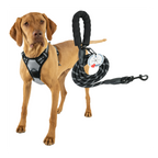 Lovtastic Creations™ No-Pull Dog Harness - with Strong & Durable Dog Leash & Free Poopbag Holder 3pcs Set | Reflective No-Choke Pet Harness