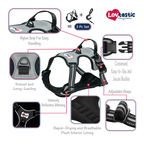Lovtastic Creations™ No-Pull Dog Harness - with Strong & Durable Dog Leash & Free Poopbag Holder 3pcs Set | Reflective No-Choke Pet Harness