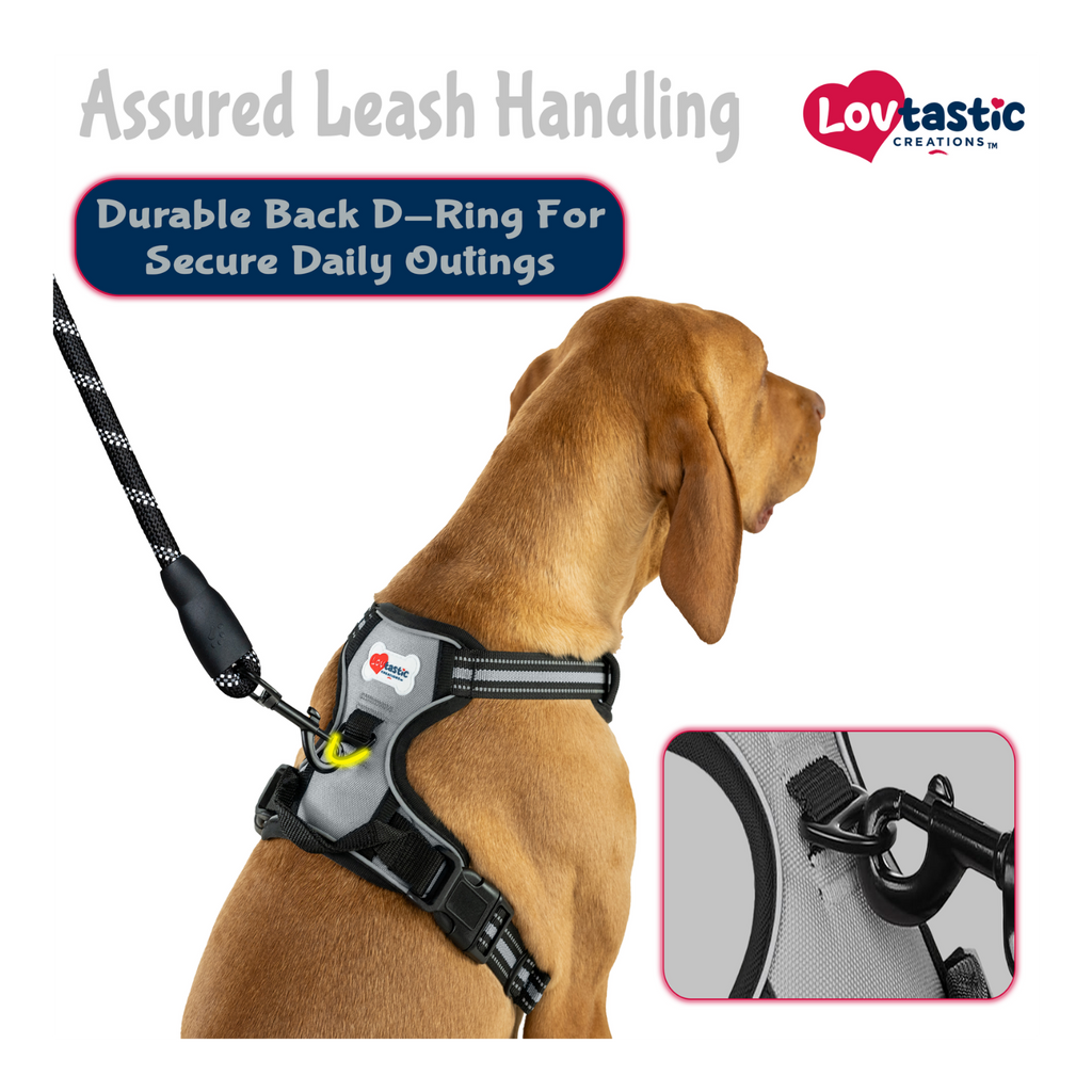 Lovtastic Creations™ No-Pull Dog Harness - with Strong & Durable Dog Leash & Free Poopbag Holder 3pcs Set | Reflective No-Choke Pet Harness