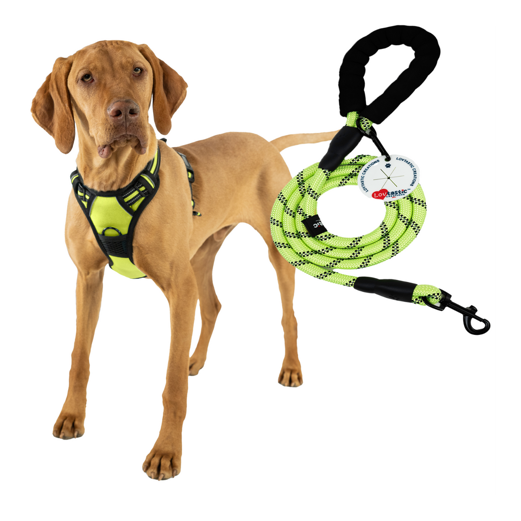 Lovtastic Creations™ No-Pull Dog Harness - with Strong & Durable Dog Leash & Free Poopbag Holder 3pcs Set | Reflective No-Choke Pet Harness