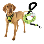 Lovtastic Creations™ No-Pull Dog Harness - with Strong & Durable Dog Leash & Free Poopbag Holder 3pcs Set | Reflective No-Choke Pet Harness