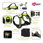 Lovtastic Creations™ No-Pull Dog Harness - with Strong & Durable Dog Leash & Free Poopbag Holder 3pcs Set | Reflective No-Choke Pet Harness