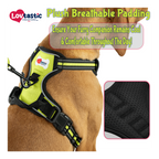 Lovtastic Creations™ No-Pull Dog Harness - with Strong & Durable Dog Leash & Free Poopbag Holder 3pcs Set | Reflective No-Choke Pet Harness