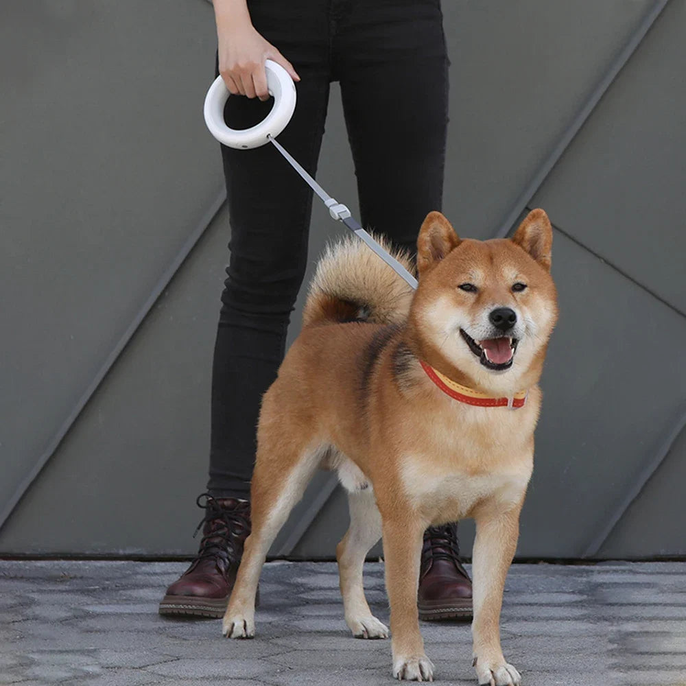 2 in 1 Retractable Dog Puppy LED Ring lighting Flexible Pet Traction Rope Leash