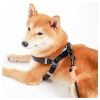 Touchdog ® 'Macaron' 2-in-1 Durable Nylon Dog Harness and Leash