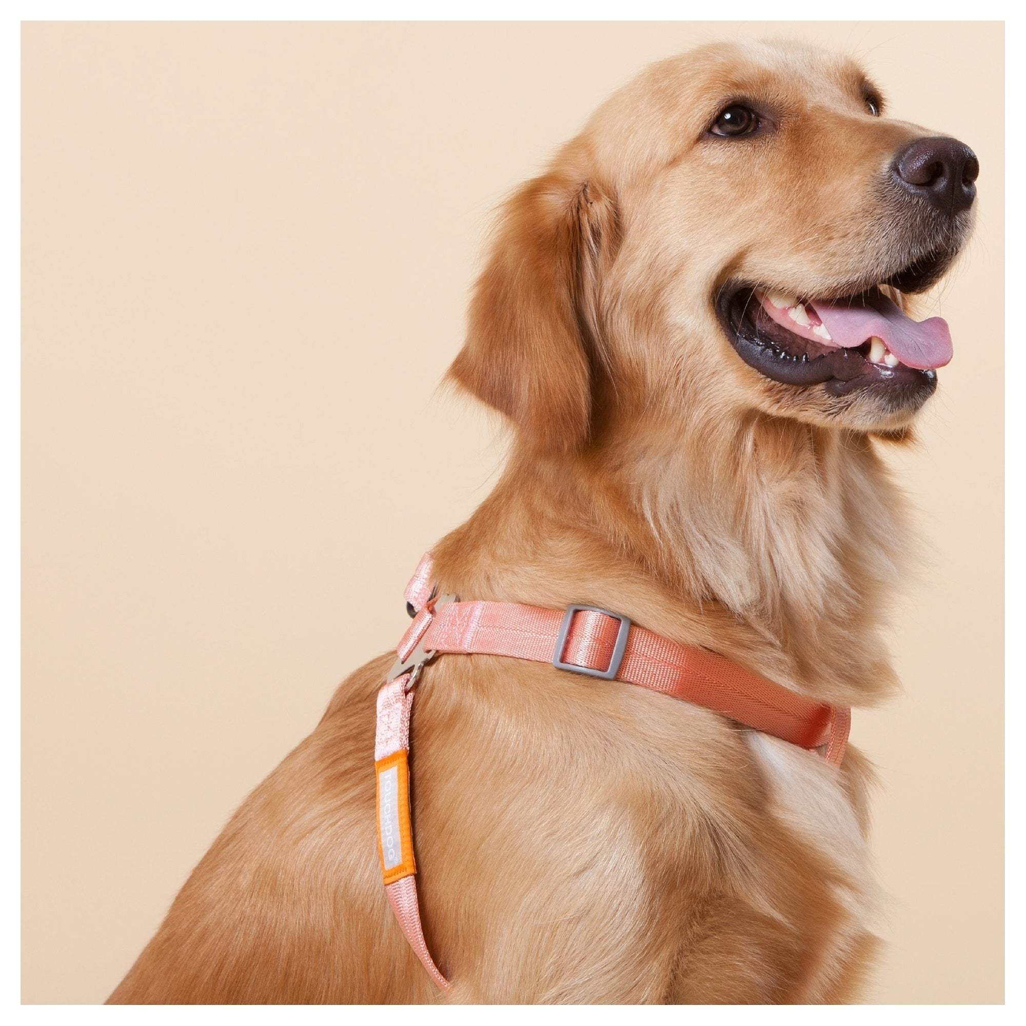 Touchdog ® 'Macaron' 2-in-1 Durable Nylon Dog Harness and Leash