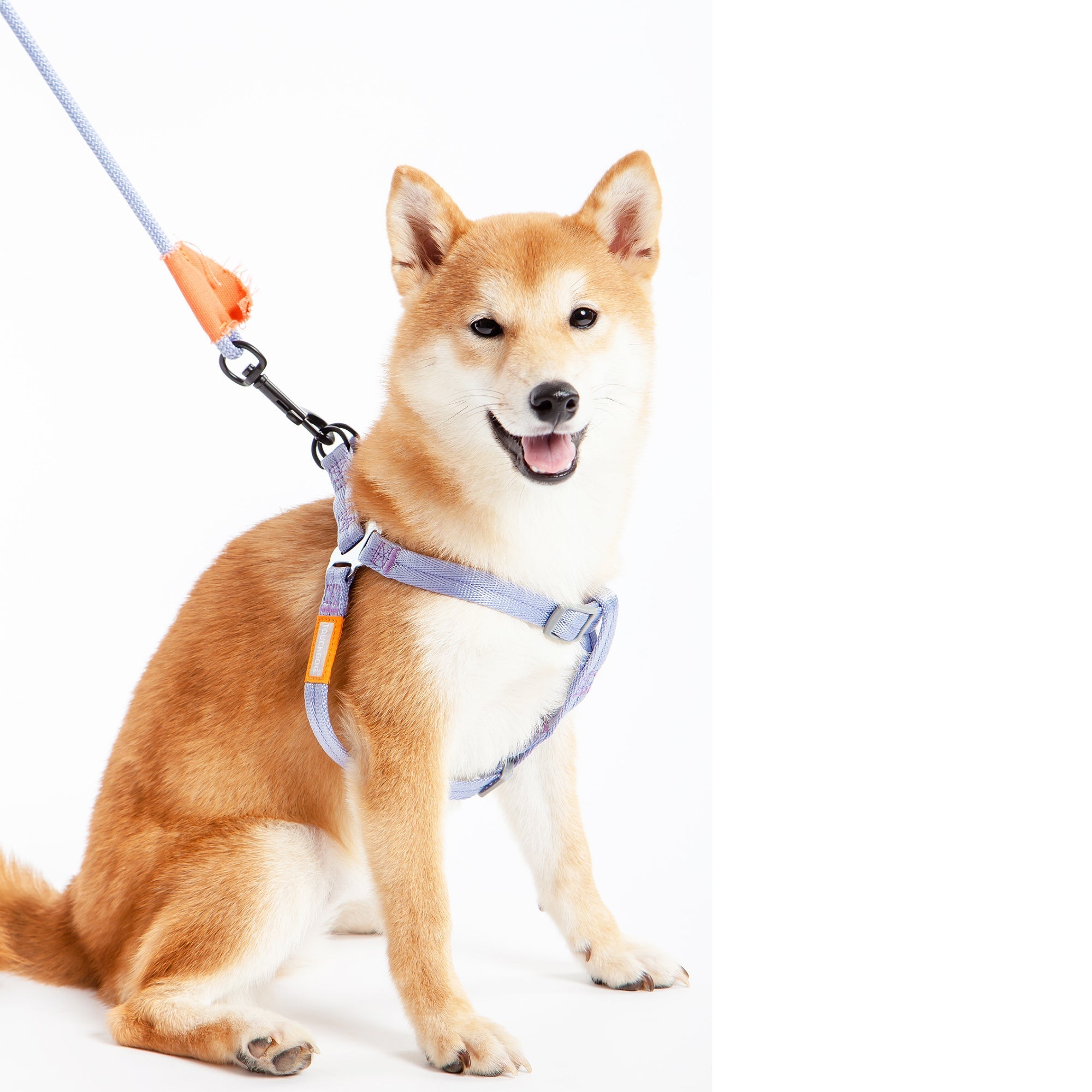 Touchdog ® 'Macaron' 2-in-1 Durable Nylon Dog Harness and Leash