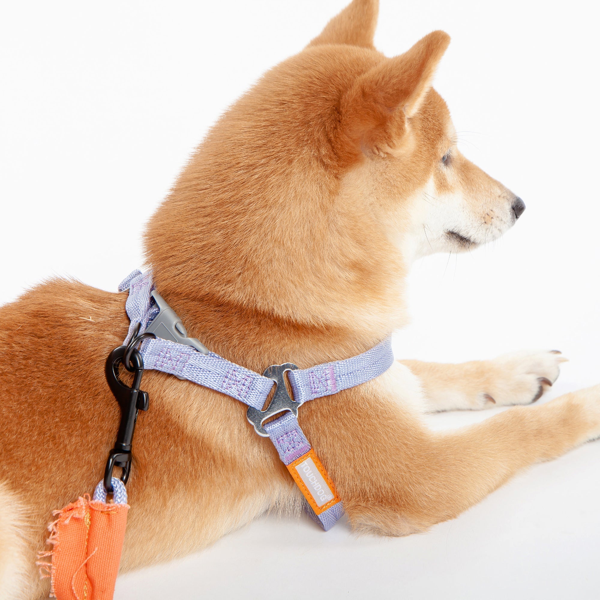 Touchdog ® 'Macaron' 2-in-1 Durable Nylon Dog Harness and Leash