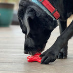 Starfish Nylon Dog Chew Toy for Aggressive Chewers | USA Made | SodaPup