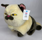 Large Cartoon Character Squeak & NO Squeak Dog Toys: 11"-14"