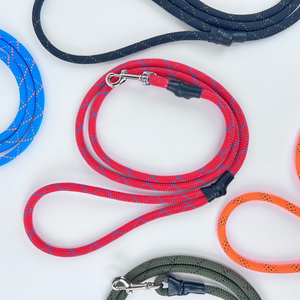 Essential Rope Dog Leash - Large