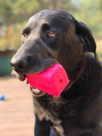 Surf's Up! Retro Van Dog Toy - Durable Chew Toy for Large Dogs | USA Made