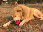 Surf's Up! Retro Van Dog Toy - Durable Chew Toy for Large Dogs | USA Made