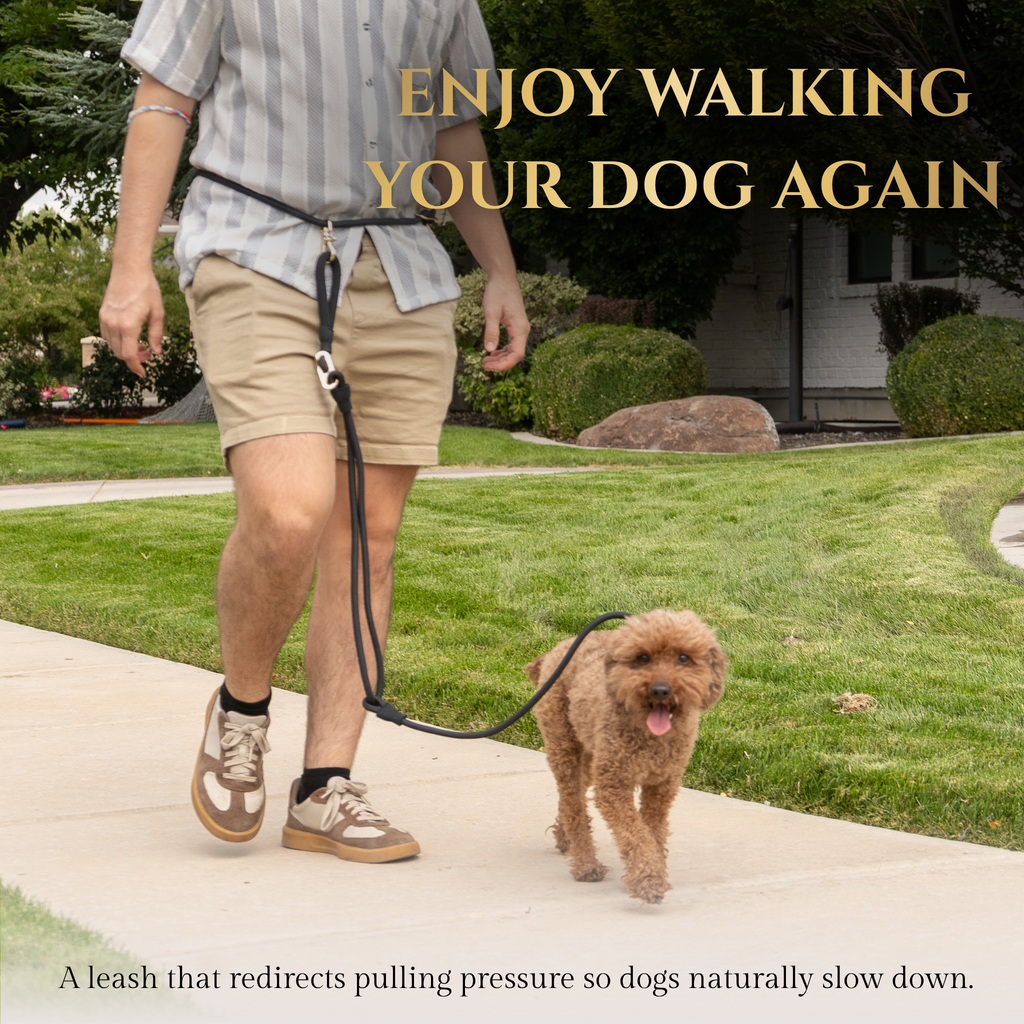 Calm Command © Hands Free, No-Pull Leash