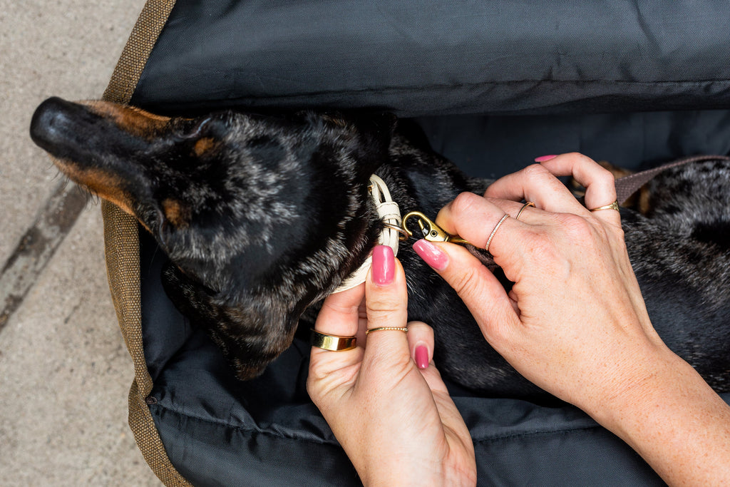The Daily Carrier—Packable Luxury for Life on the Go